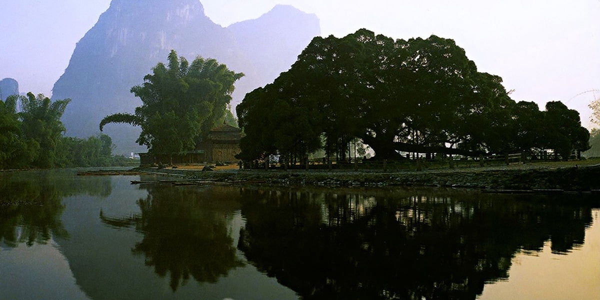 Big Banyan Tree - Yangshuo Tours